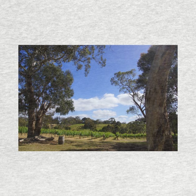 Blue Sky and Fluffy clouds in the Vineyard - Adelaide Hills - Fleurieu Peninsula by Avril Thomas by MagpieSprings